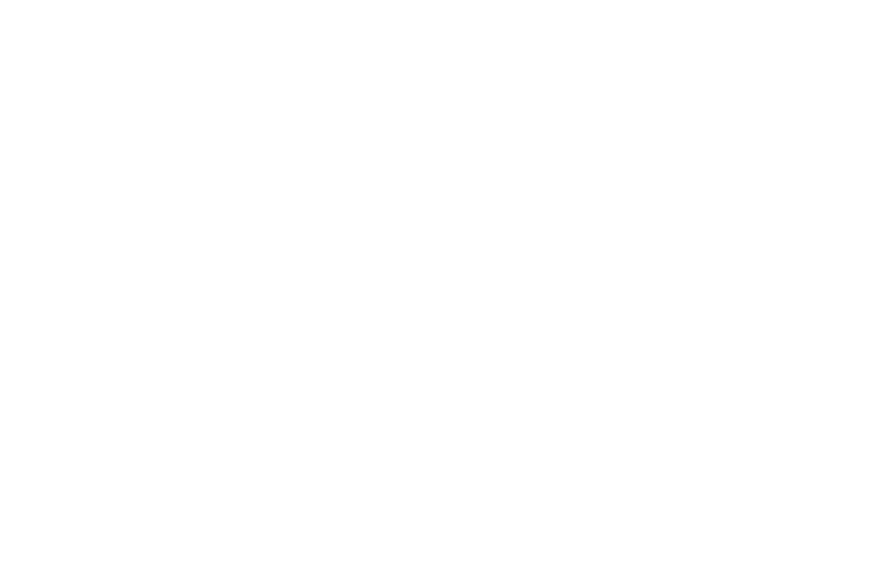 Honourable Mention - WA Screen Culture Awards - 2023.png