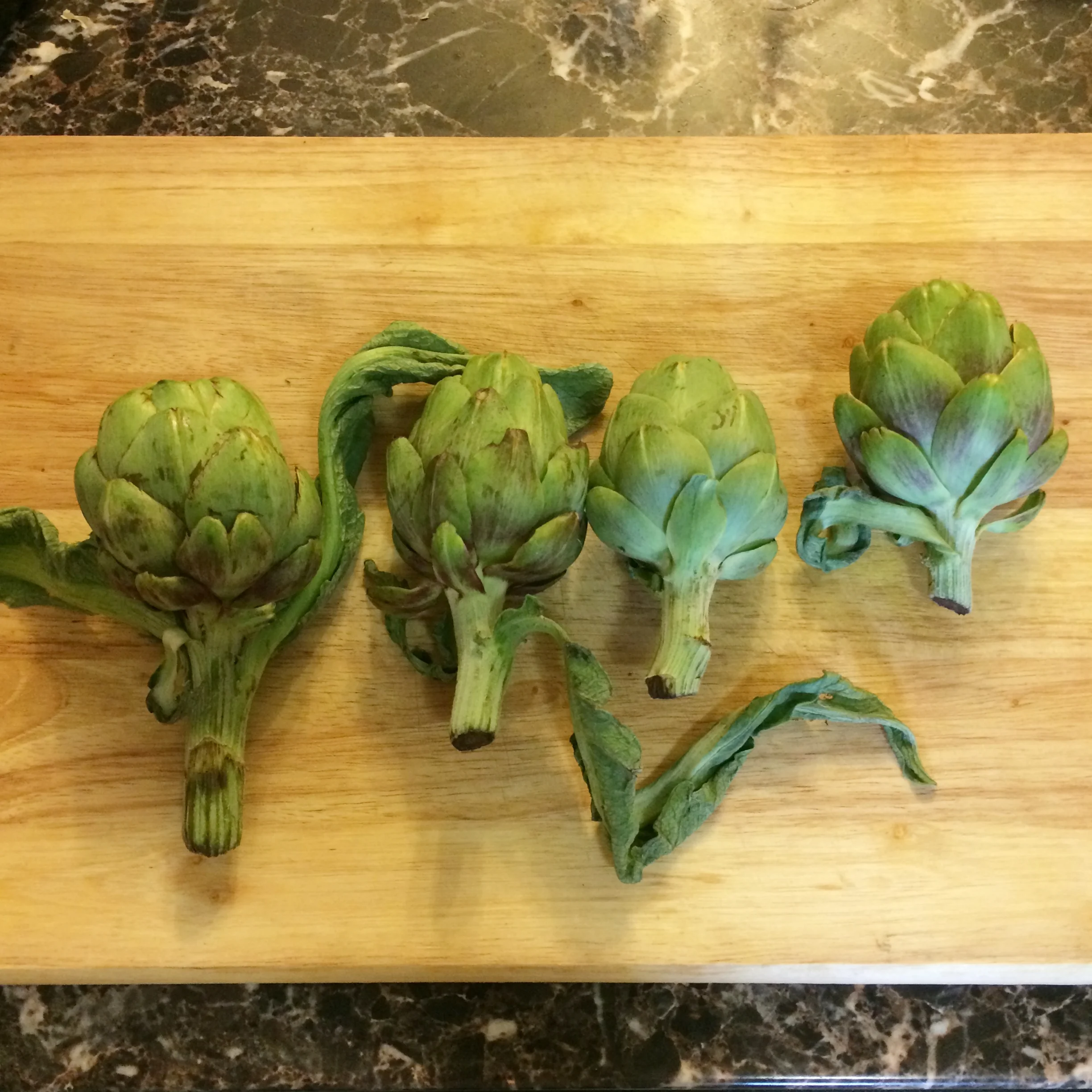 Four medium artichokes ready to go.