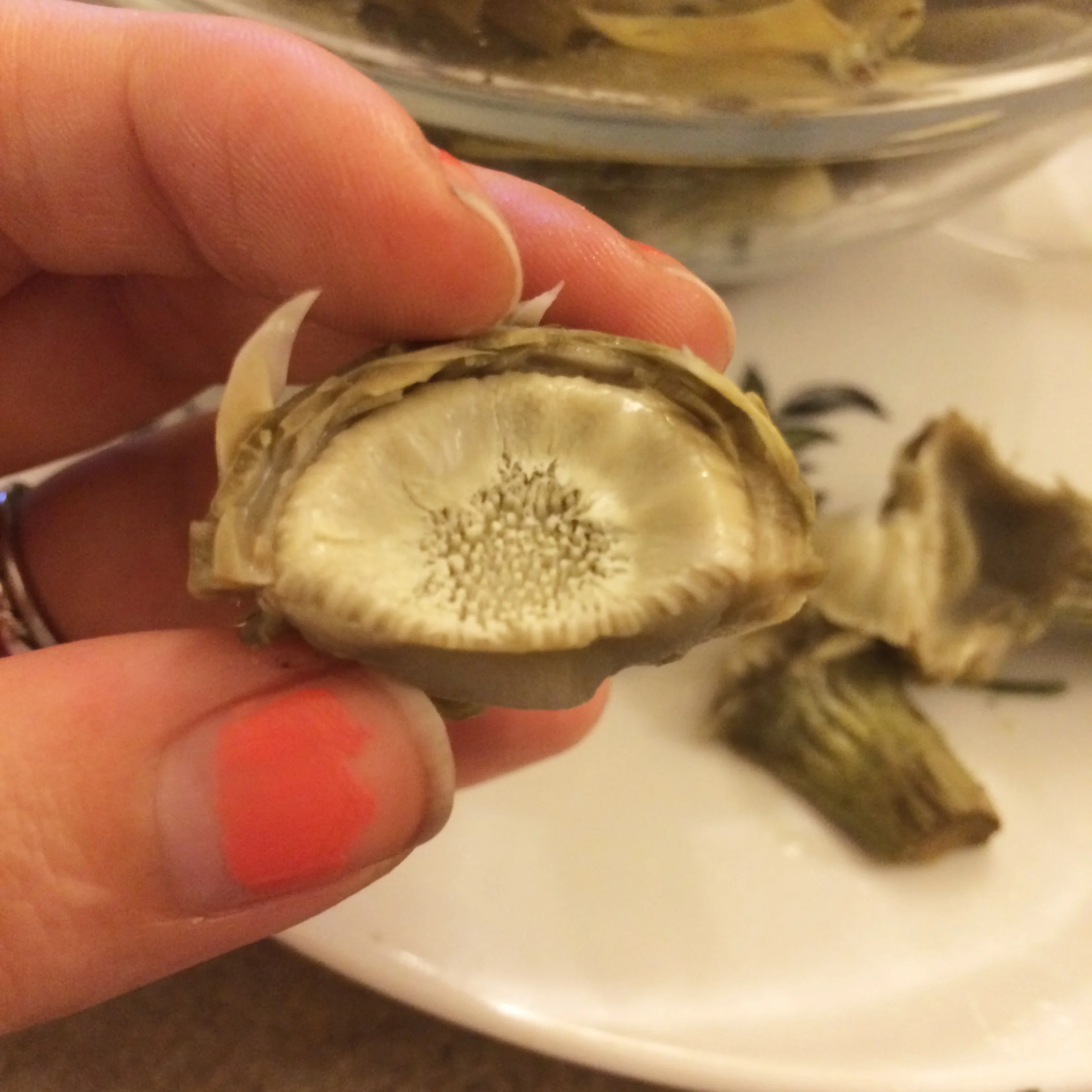 The hairy choke had barely begun to form.