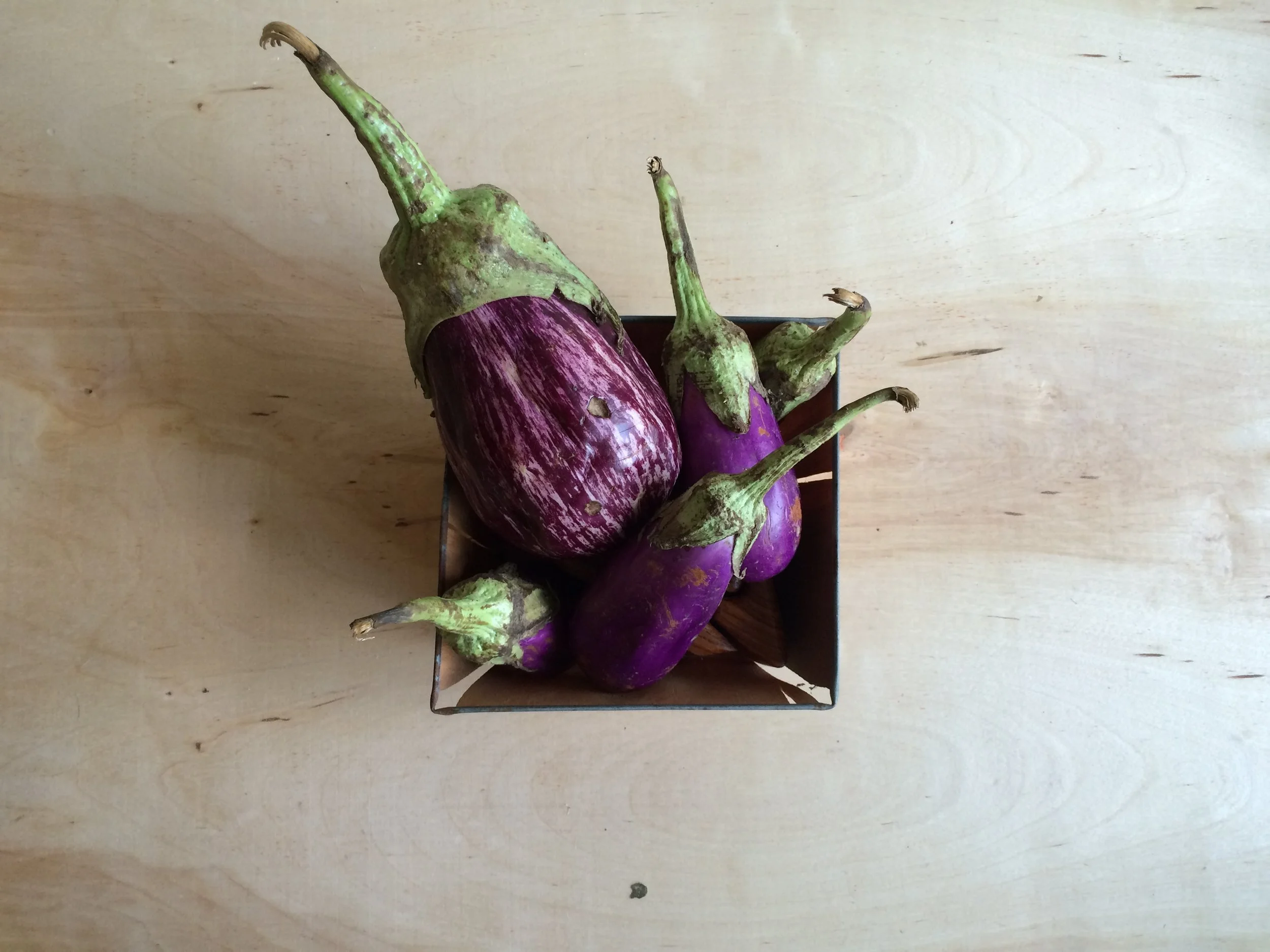 How to cook eggplant for picky eaters