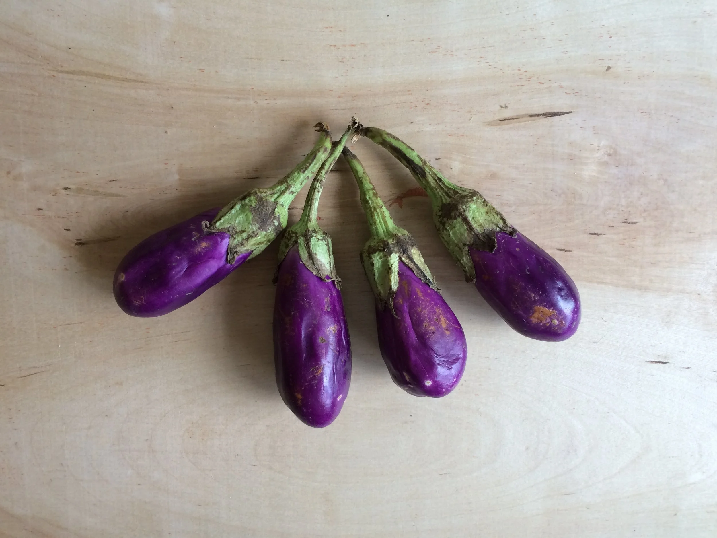 How to cook eggplant for picky eaters