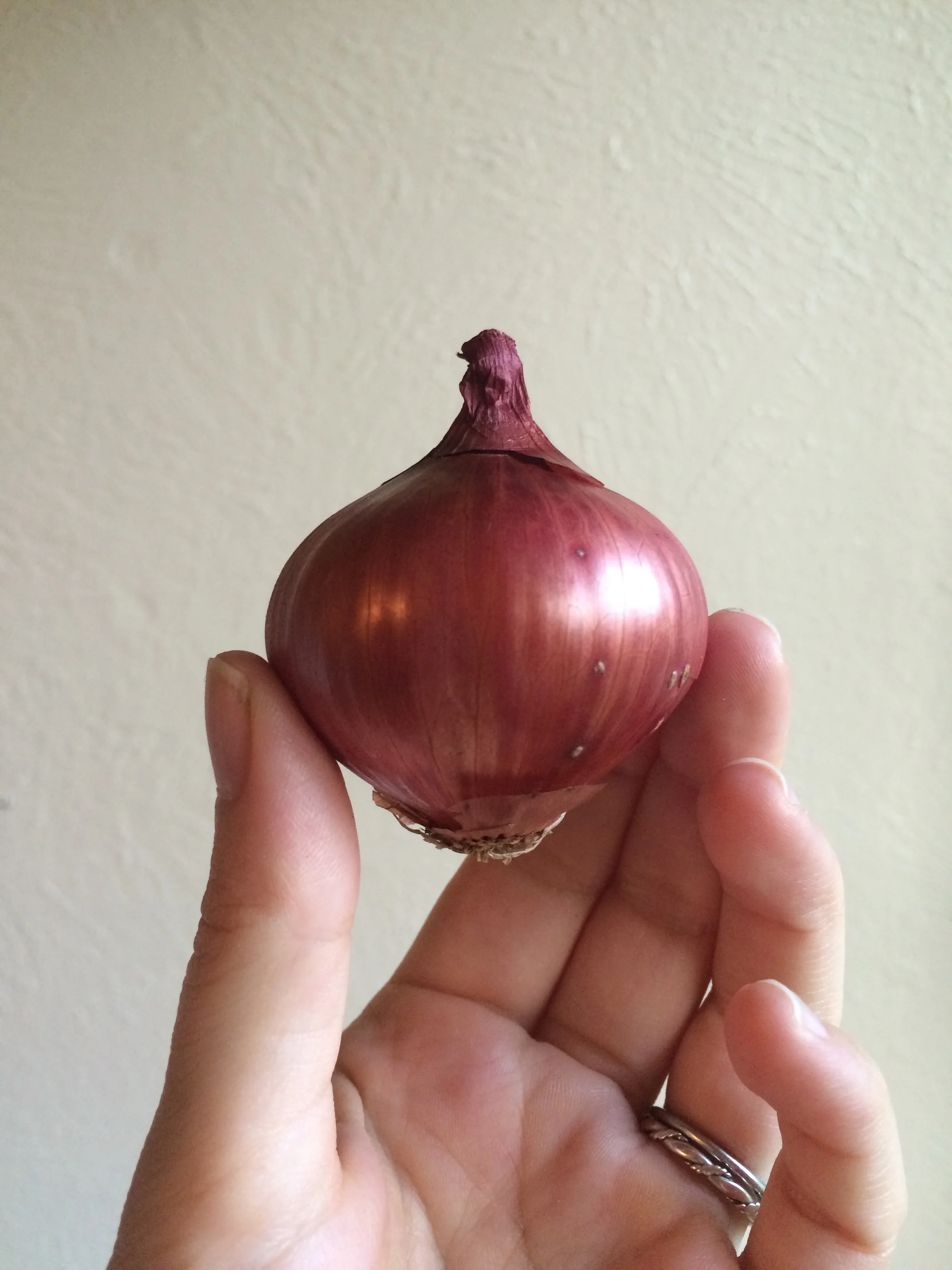 10 facts that will make you love onions