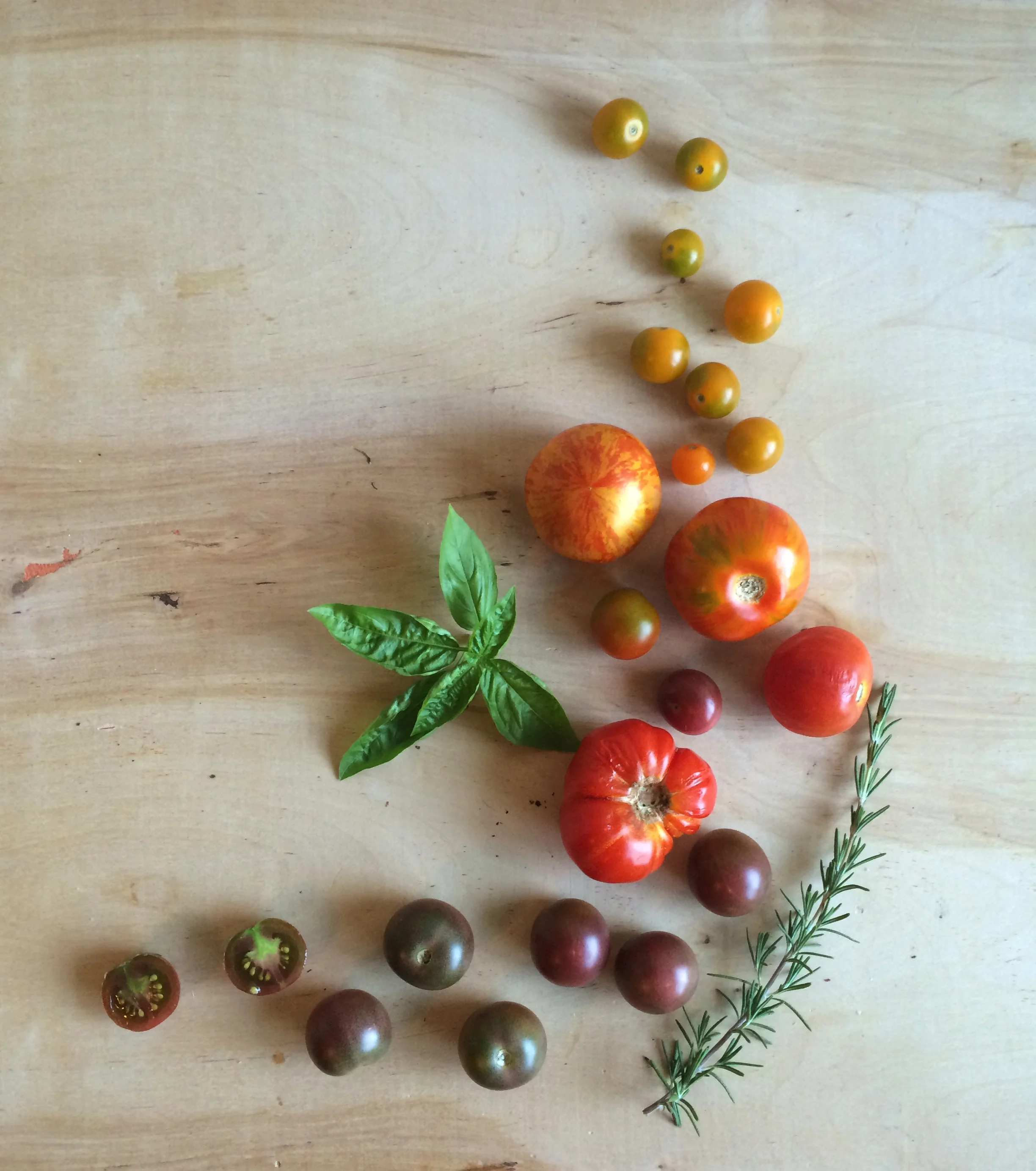 The Types of Tomatoes