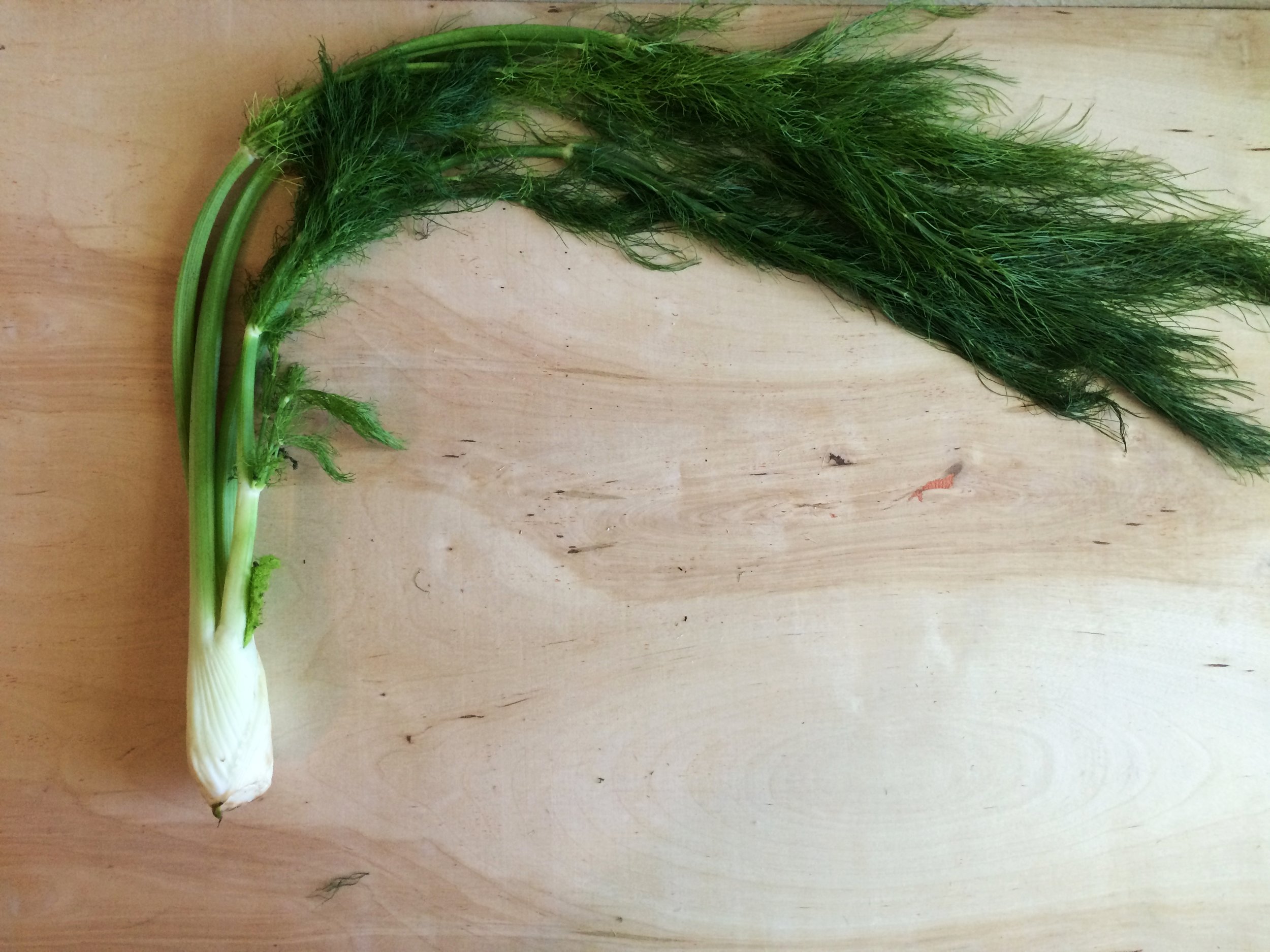 How to Cook with Every Part of the Fennel Plant - It's all edible!