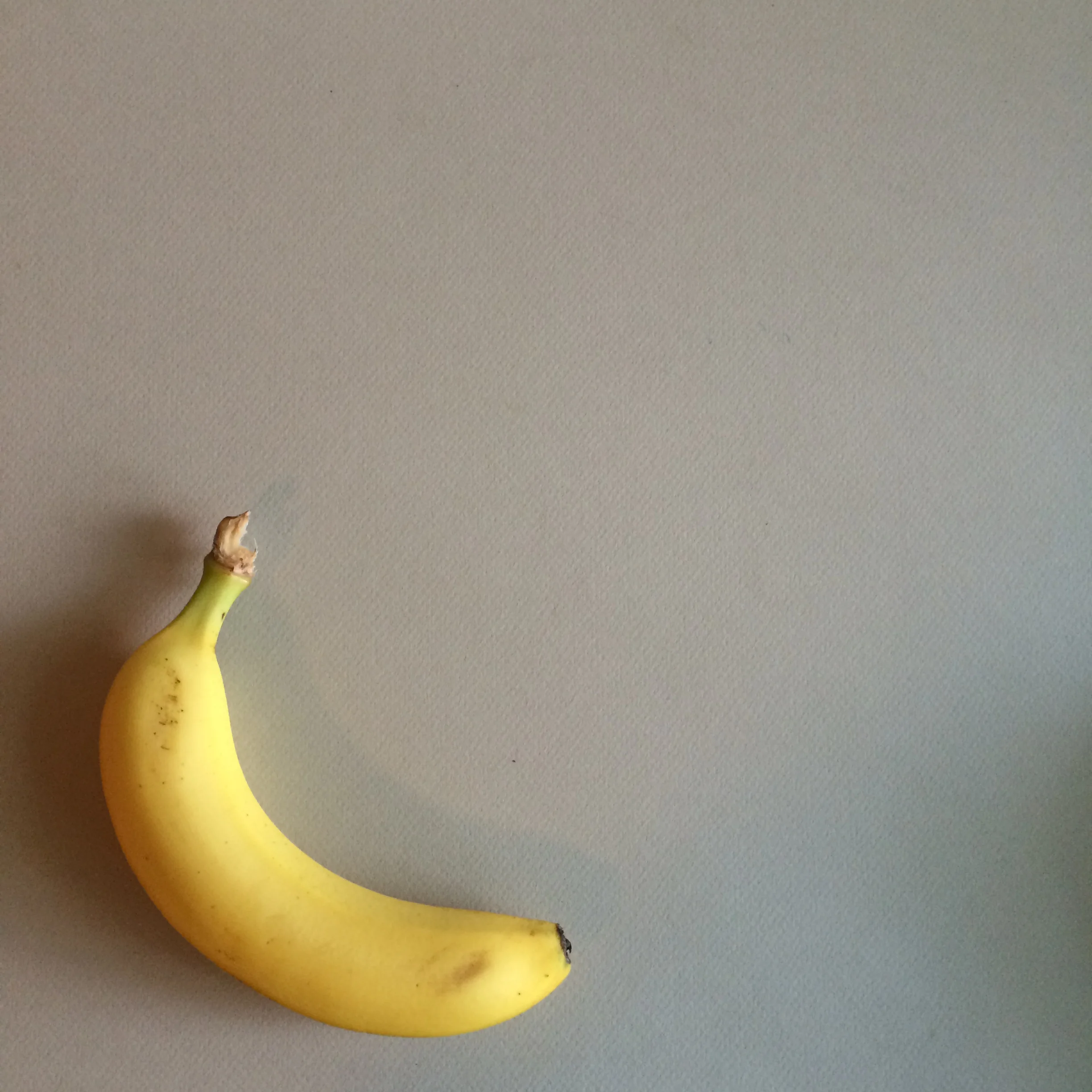 The best way to store bananas