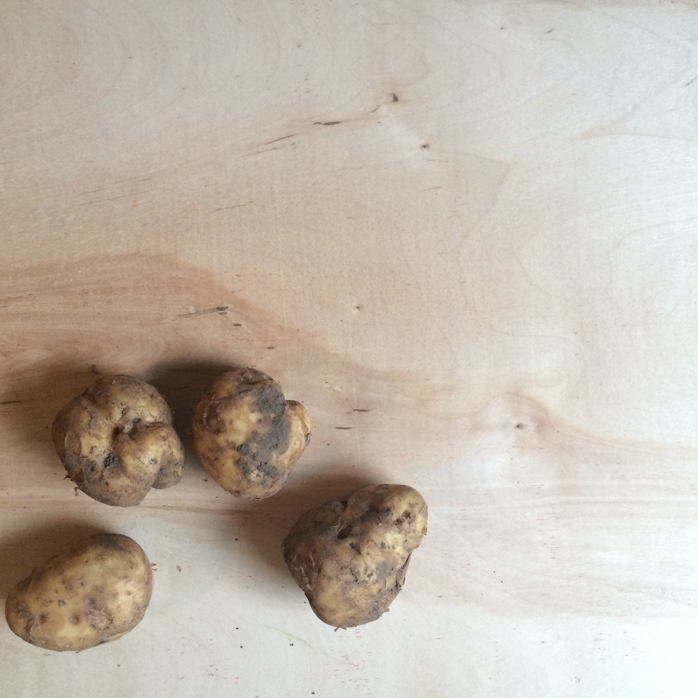 How and Why You Need to Wash Your Produce