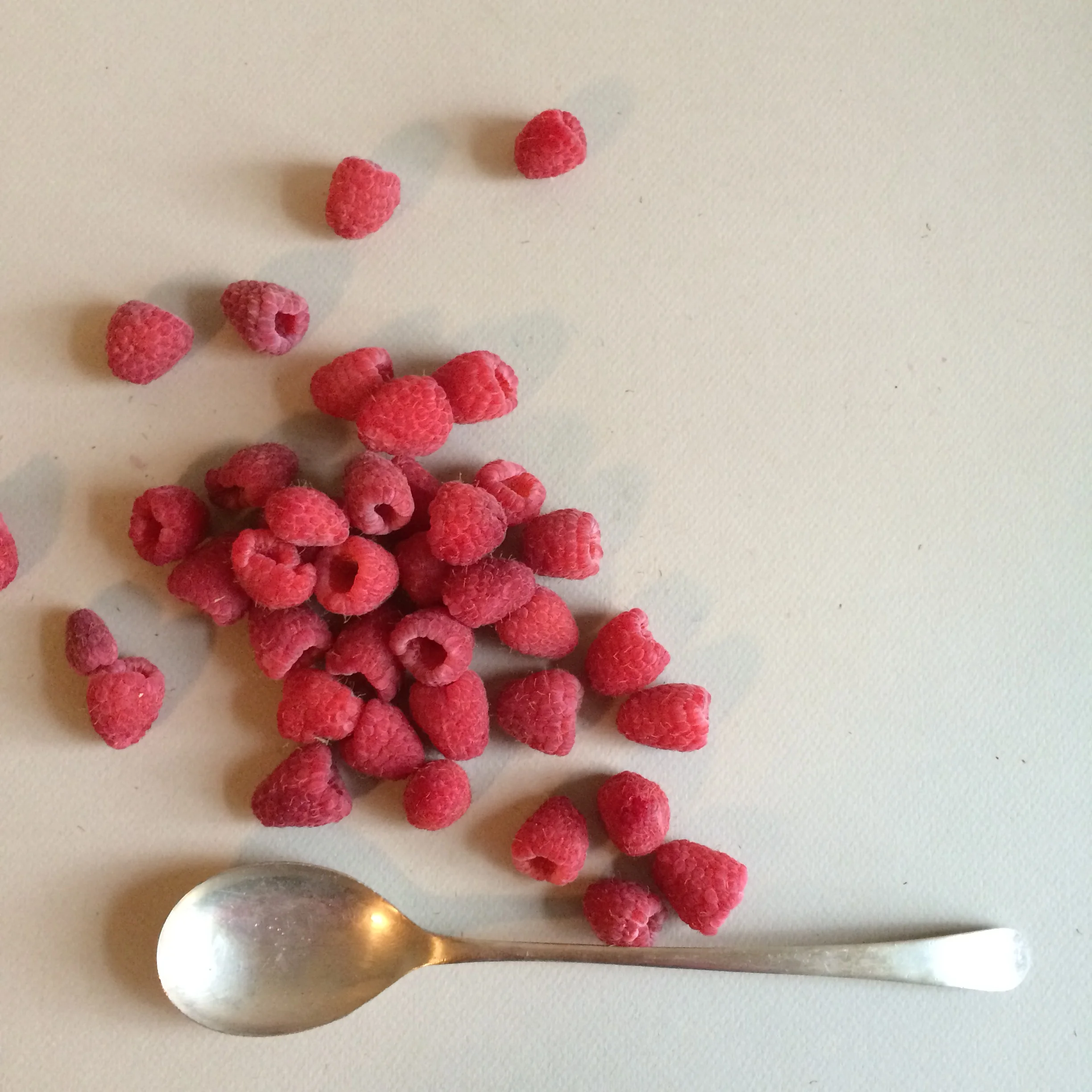Should you wash berries before storing them?