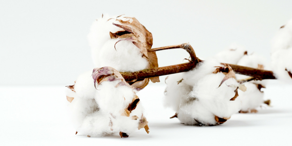 How to reduce menstrual pain - organic cotton.png