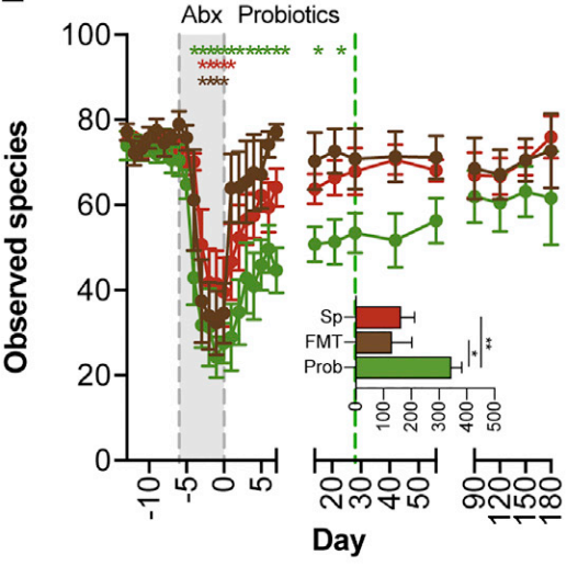 RED - spontaneous recovery group. No intervention given after antibiotic period. BROWN - Fecal Microbiota Transplant group. GREEN - Probiotic group. An 11 strain, 25 billion culture probiotic given 2x daily for 30 days post antibiotic treatment.