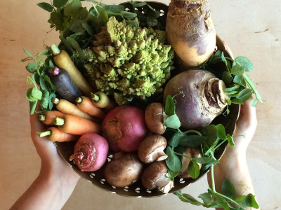 Foods for PCOS.png