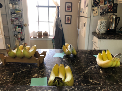 best way to store bananas.png