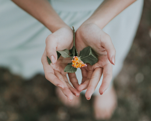 Get Pregnant with PCOS Quickly Fertile Signs.png