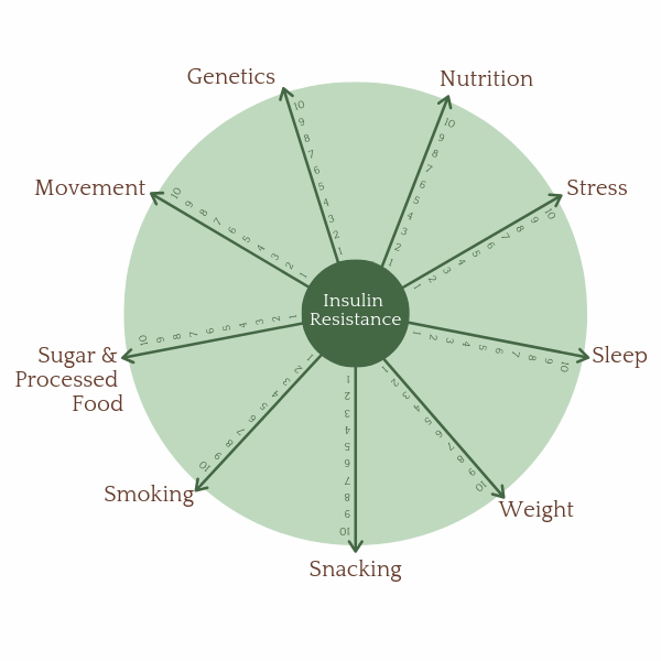 PCOS Insulin Risk Wheel