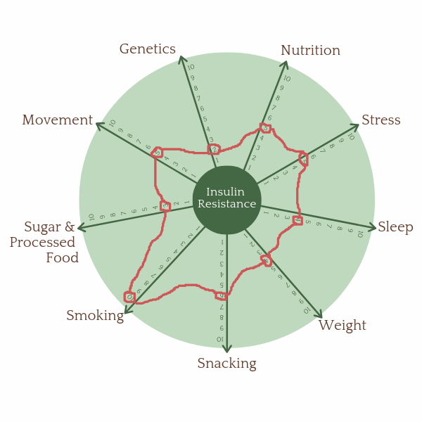 Insulin Resistance Wheel.png
