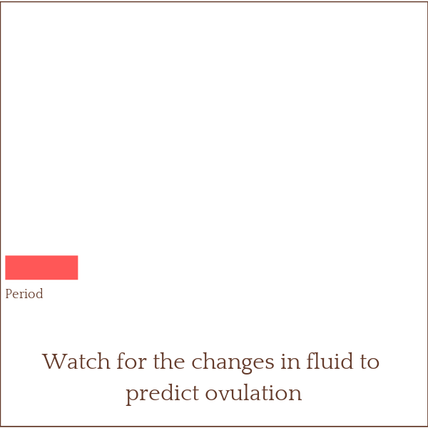How do you know when you're ovulating?