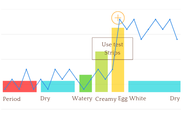 Basal Body Temperature Charting Confirms Ovulation