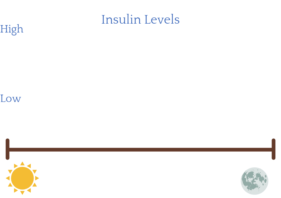 Affects of grazing or snacking all day on insulin levels for women with PCOS.