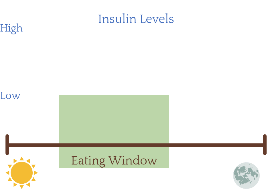 Effects of Intermittent Fasting on insulin levels for women with PCOS.