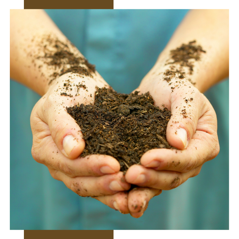 Are probiotics really useless? An analysis of two studies.