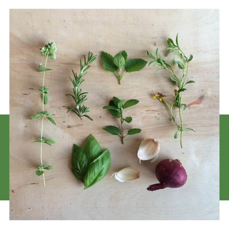 Should you buy fresh or dried herbs?