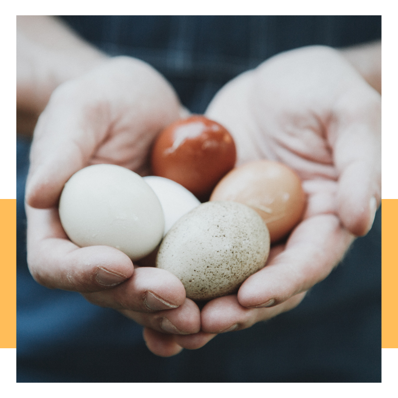 How to improve egg quality with PCOS naturally