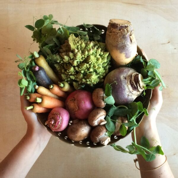 Polycystic ovaries diet changes