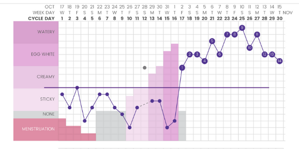 When your period blood is brown on the first day support progesterone production by tracking your cycles