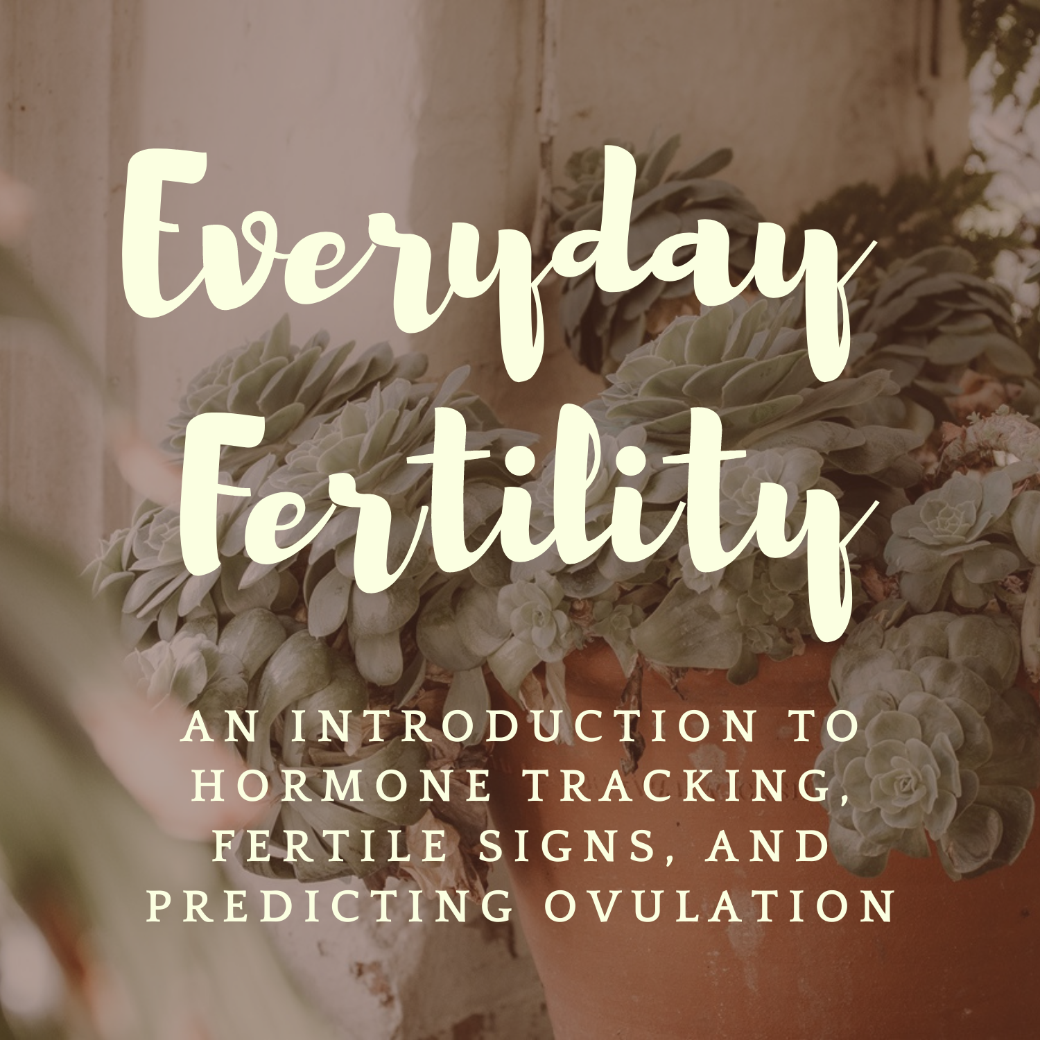 Everyday Fertility