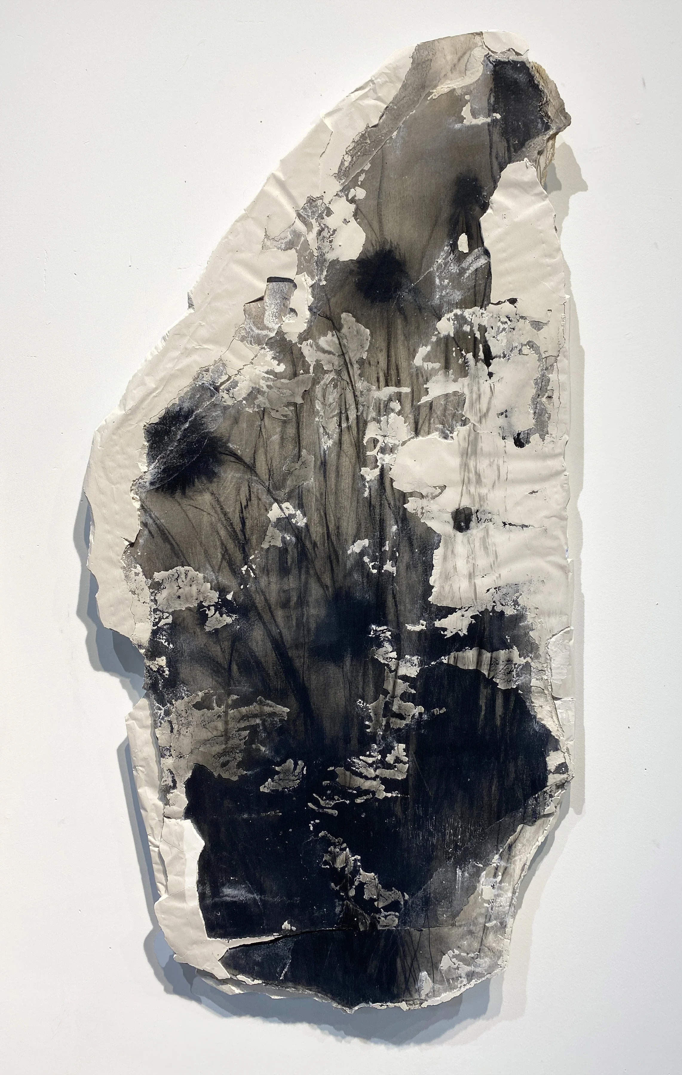 Echinacea, 2025, Plaster, paper, charcoal and recycled styrofoam, 38 x 20 inches