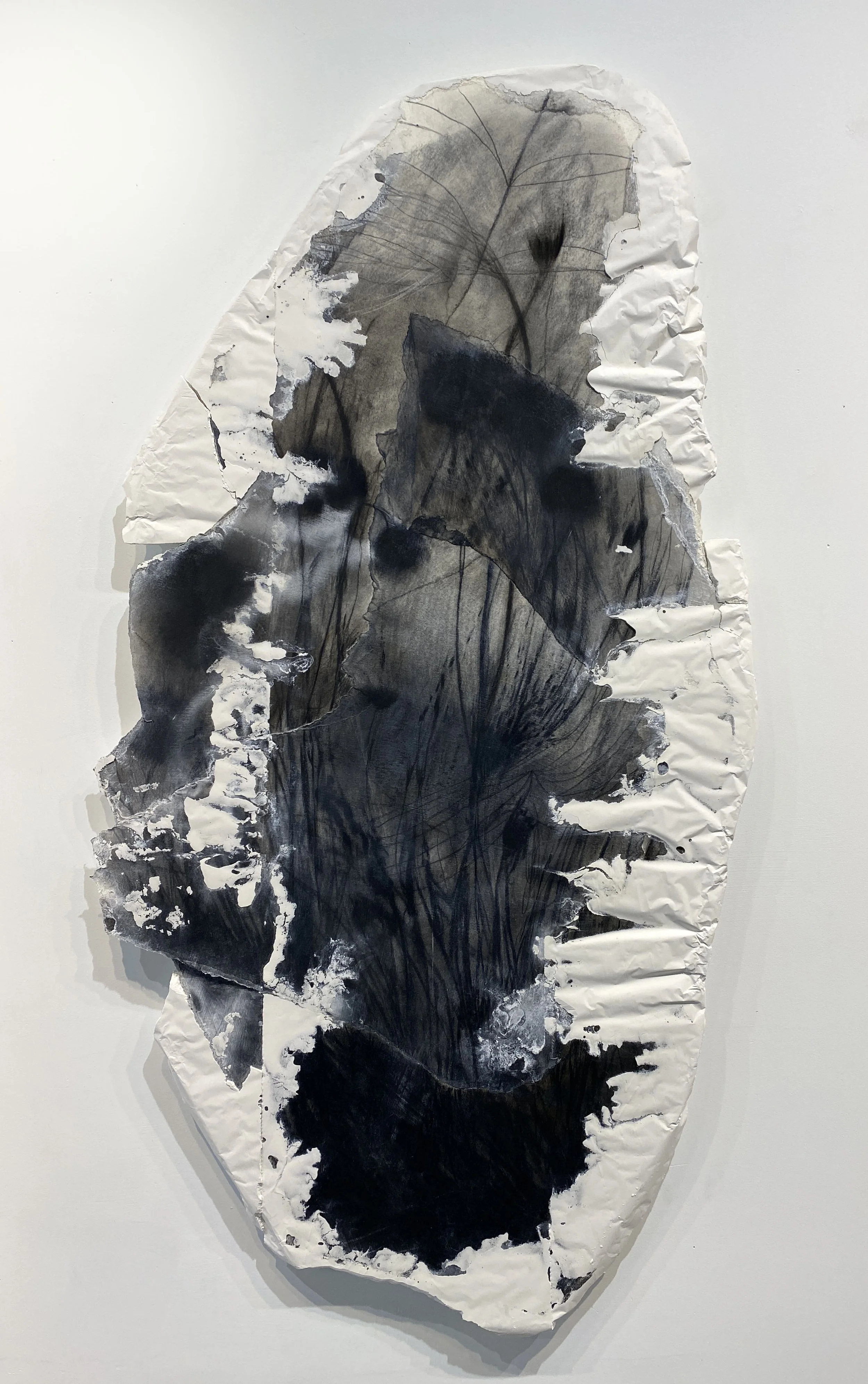 Echinacea II, 2025, Plaster, charcoal, paper and recycled styrofoam, 46 x 24 x 1 3/4 inches