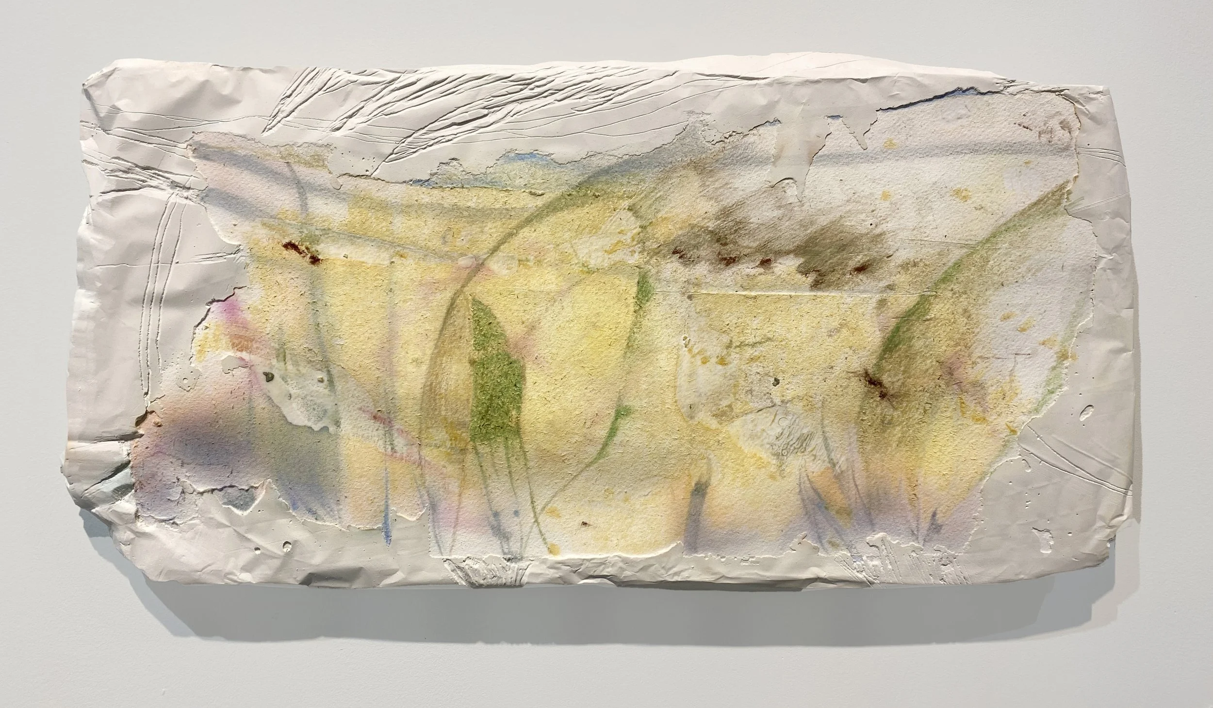 Nothing gold can stay, 2024, Plaster, watercolor and colored pencil on paper, 10 x 19 inches
