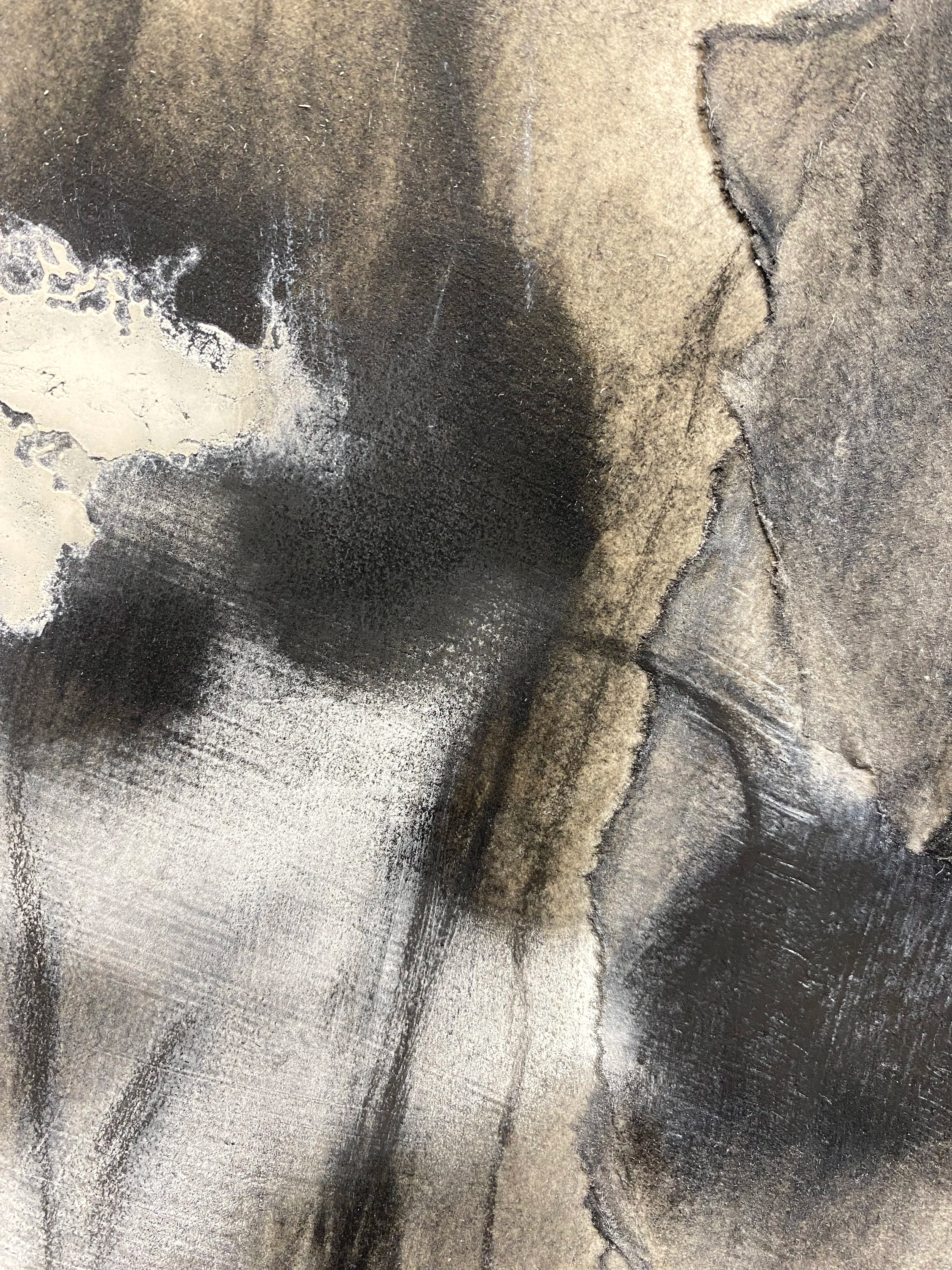 Echinacea, 2025, detail