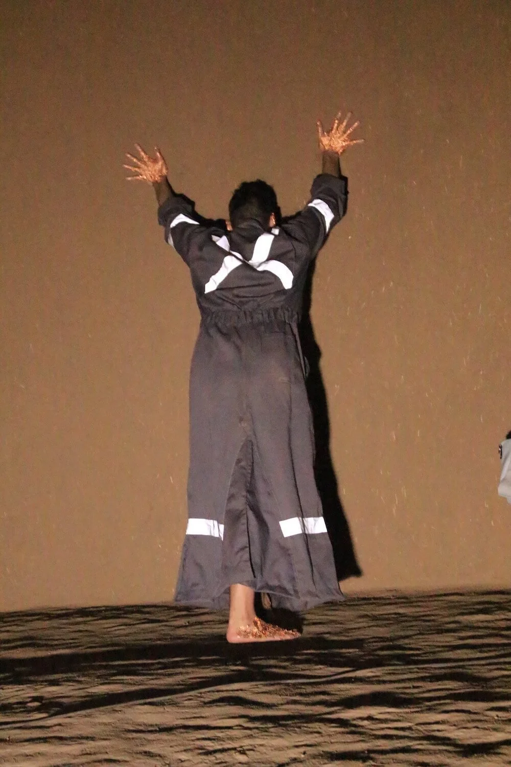  Image Credit: Paula Araya 