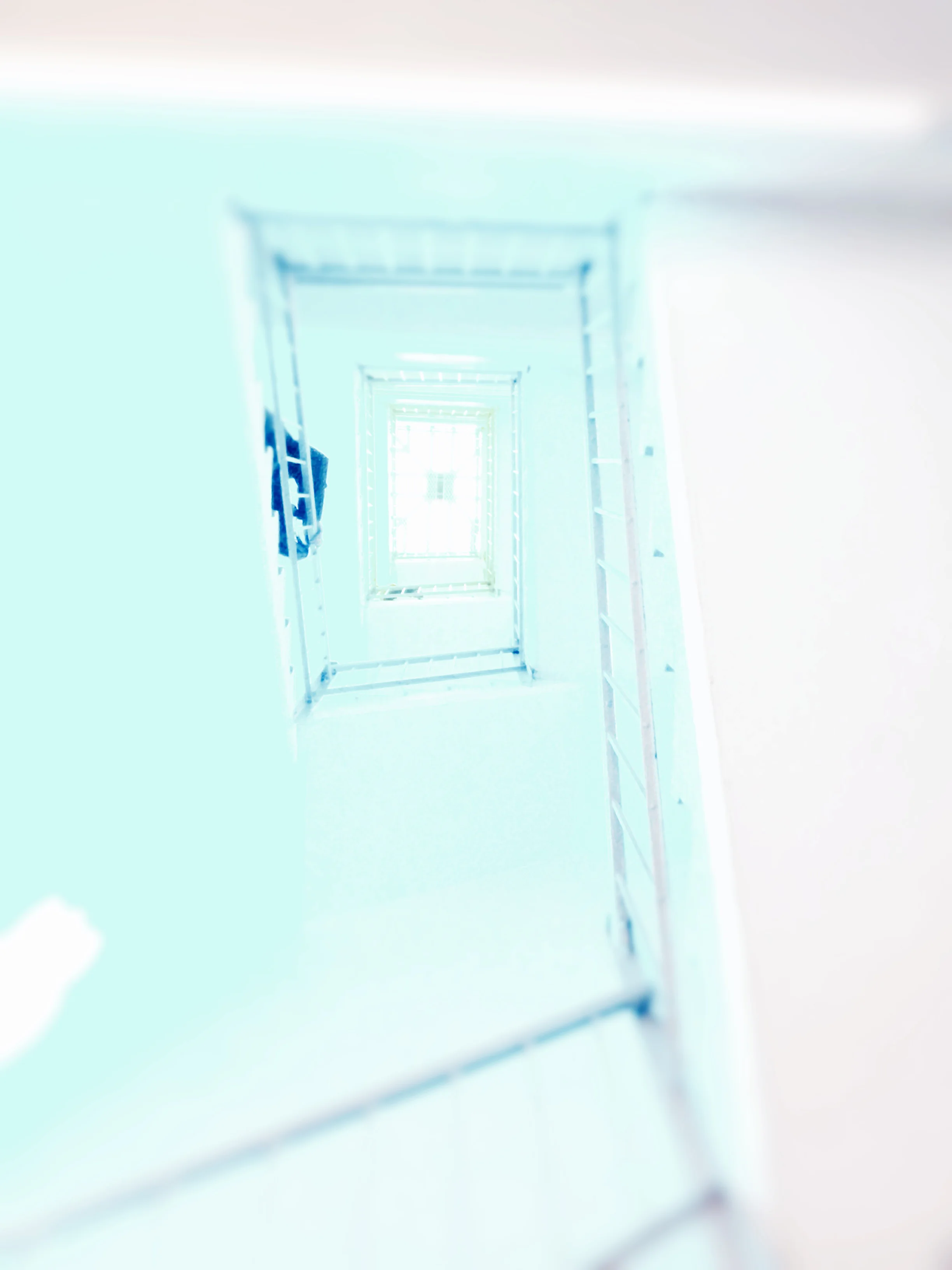Them: Dia Art Center, Chelsea, 2014-15
