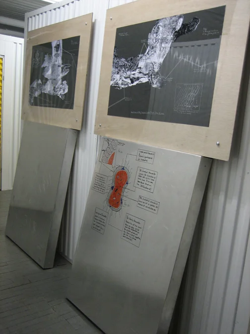 Aggression Mapping (installation), 2004-5