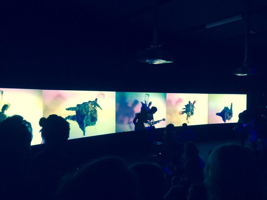   HOWDOYOUSAYYAMINAFRICAN? - No Humans Involved, 2015          