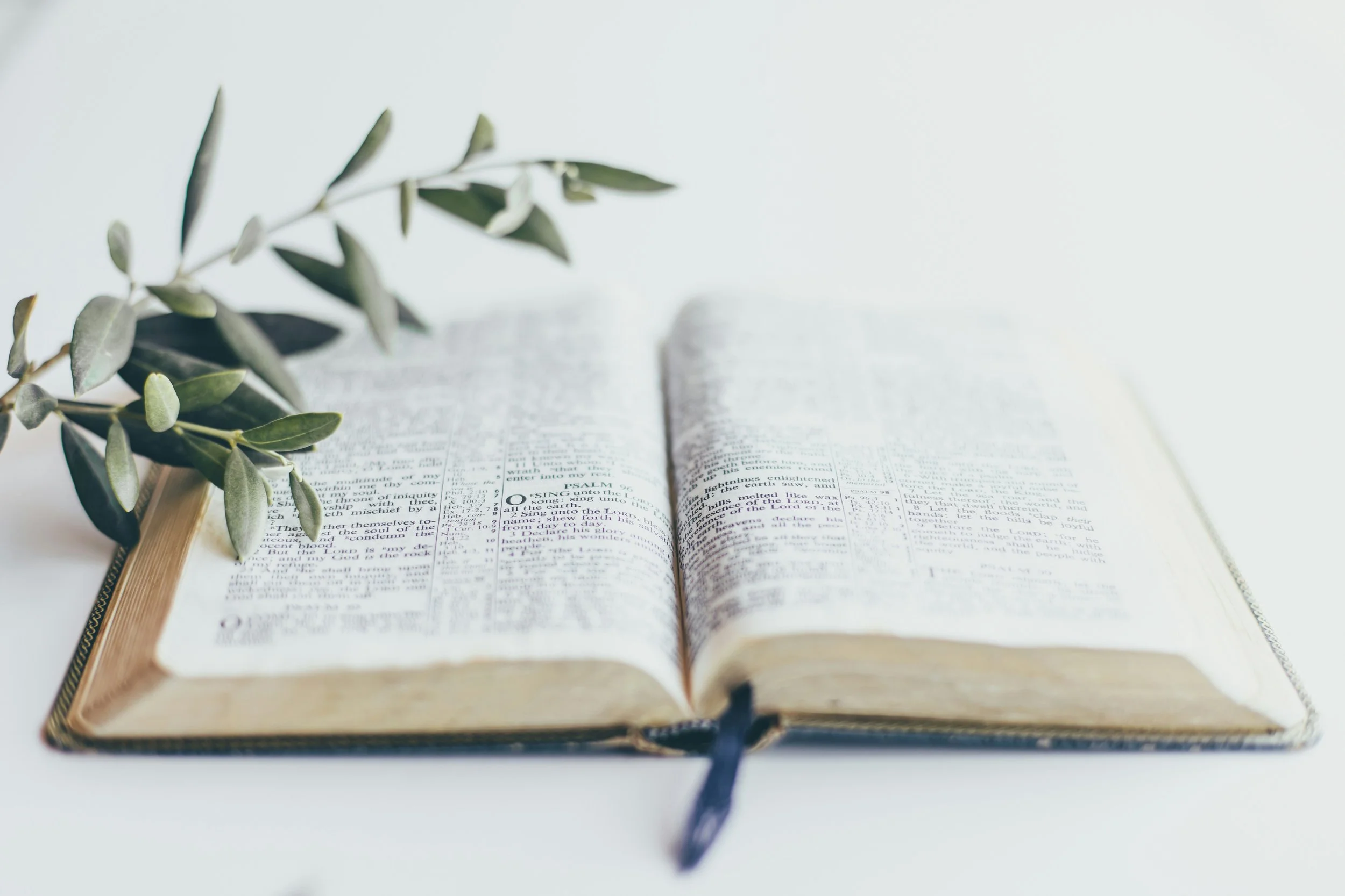 Women's Bible Study Fellowship