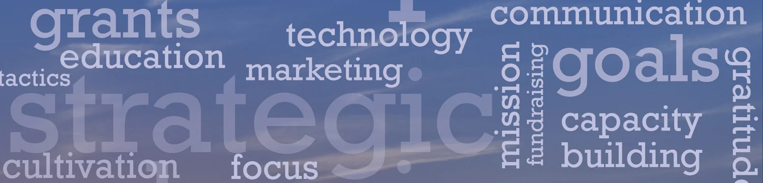 WordCloud_ NonProfitBanner_v2_1500x360.jpg