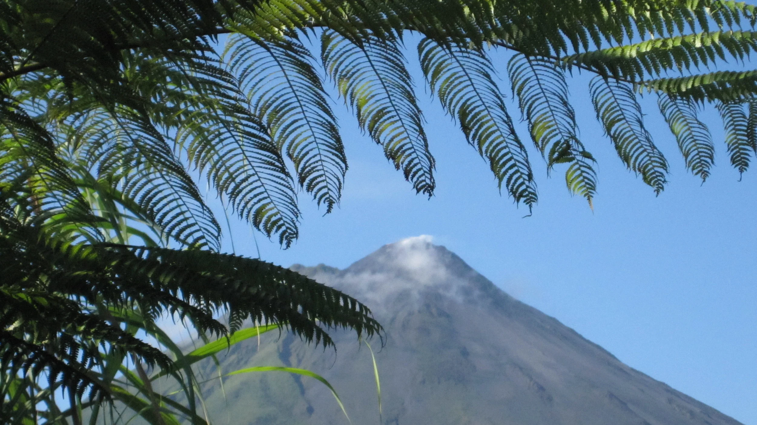 Arenal Volcano, as seen from our hotel room