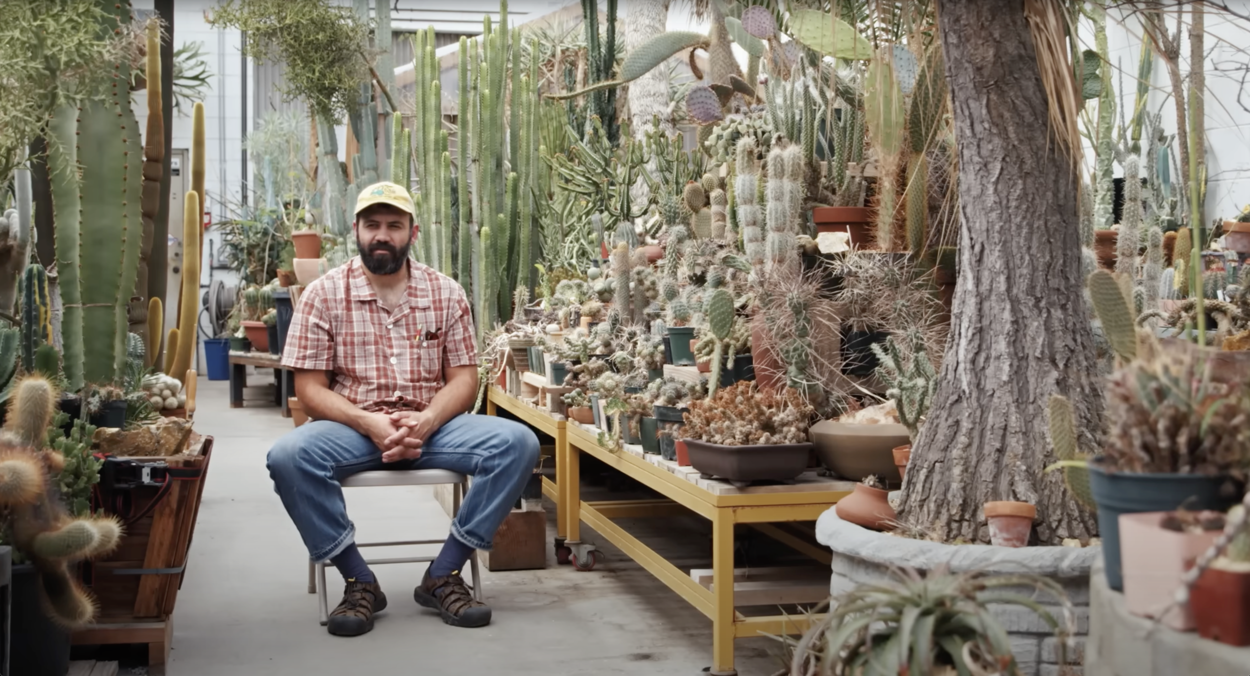 Screenshot 2025-08-05 at 9.43.34 AM.png