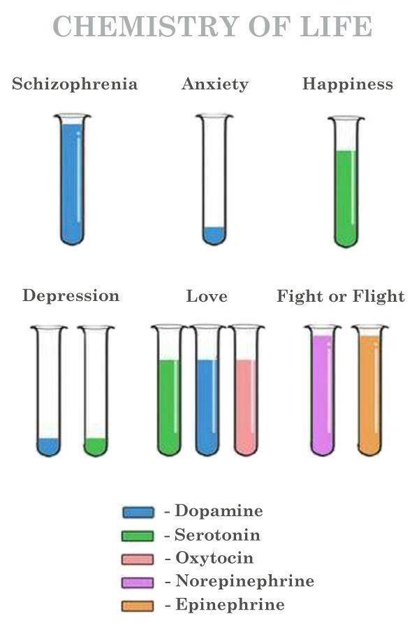 Sursă: Faceboook - I f**king love science
