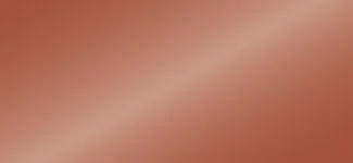 orange rose (EC)