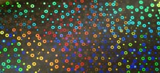 bubbles - gold (G0HP65)