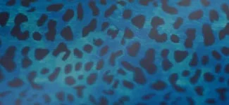 cheetah - blue (BCAK01)