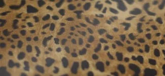 cheetah - bronze (H3AK01)