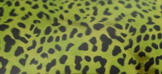 cheetah - green (NAAK01)