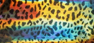cheetah - iridescent (H3AK02)