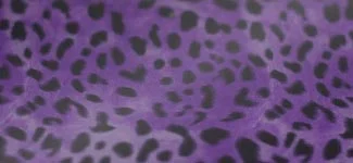 cheetah - purple (V2AK01)