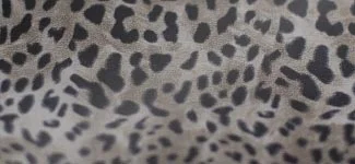 cheetah - silver (S5AK01)
