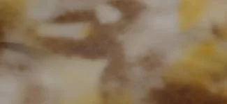 cloudy - gold (G0AL01)